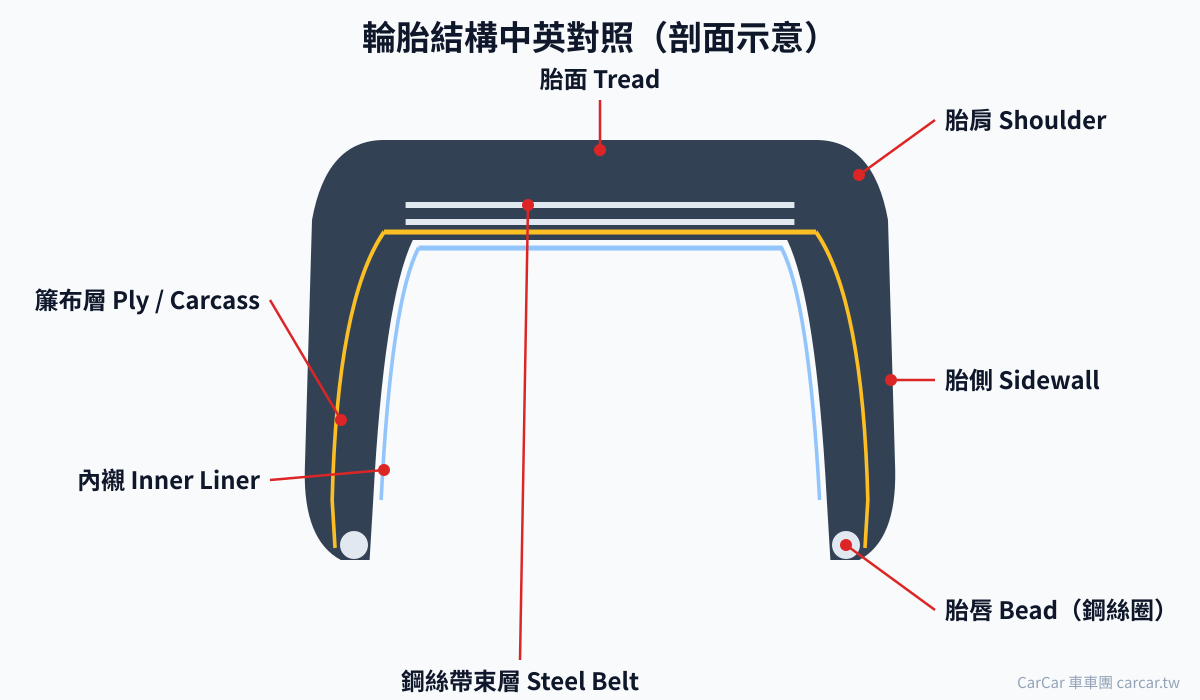 輪胎結構中英對照剖面圖:胎面 Tread、胎肩 Shoulder、胎側 Sidewall、胎唇 Bead、鋼絲帶束層 Steel Belt、簾布層 Ply、內襯 Inner Liner