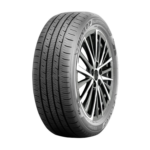 登祿普 (Dunlop) Blue Response A/S