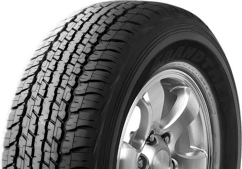 登祿普 (Dunlop) Grandtrek AT22