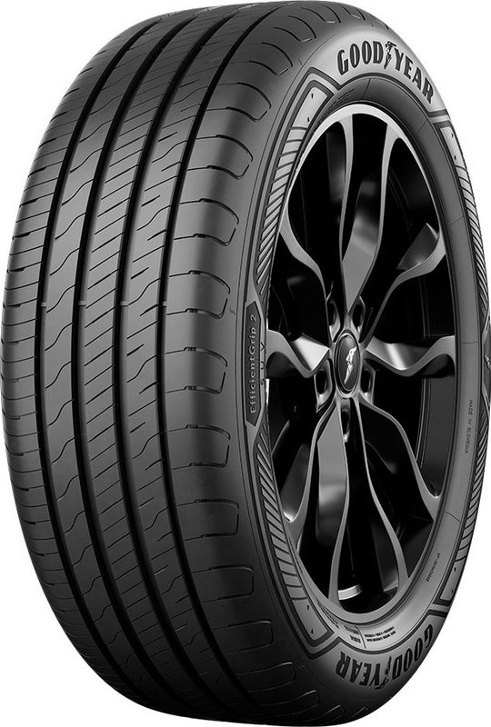 固特異 (Goodyear) EfficientGrip 2 SUV