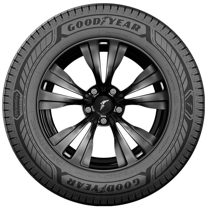固特異 (Goodyear) EfficientGrip Cargo 2