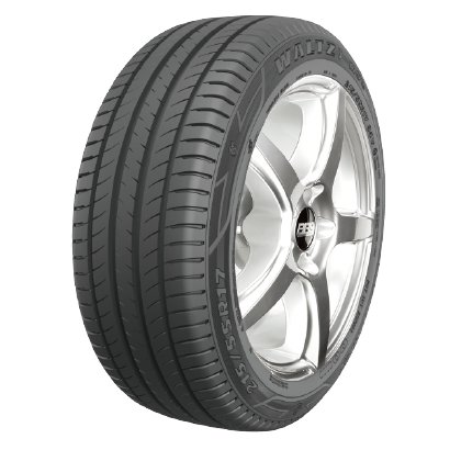 瑪吉斯 (Maxxis) MS2