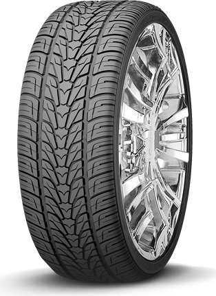 耐克森 (Nexen) Roadian HP