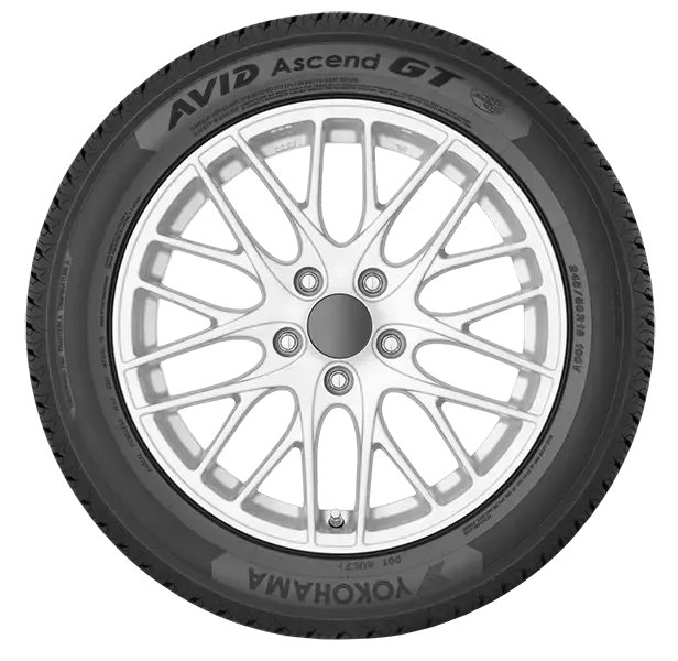 橫濱 (Yokohama) AVID Ascend GT